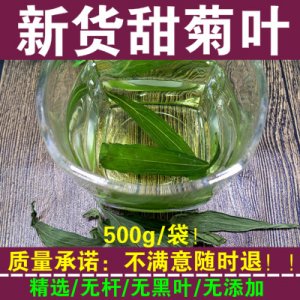 新货特级 甜叶菊 菊花茶 无糖代糖 甜菊叶500g包邮 花草茶