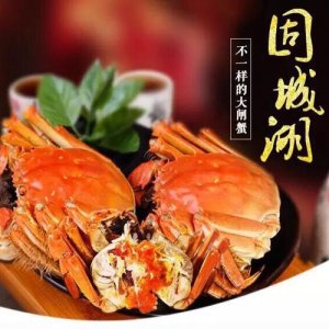 中华绒螯蟹 鲜活螃蟹全公蟹4.5两 8只