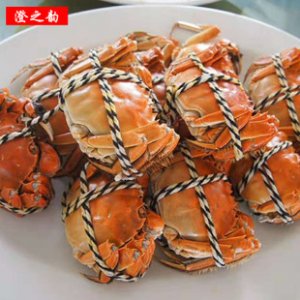 中华绒螯蟹 鲜活螃蟹公4.5母3.5两 10只装